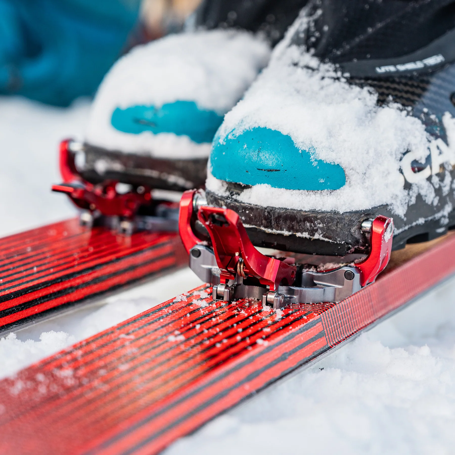 Revolution Brake World Cup	