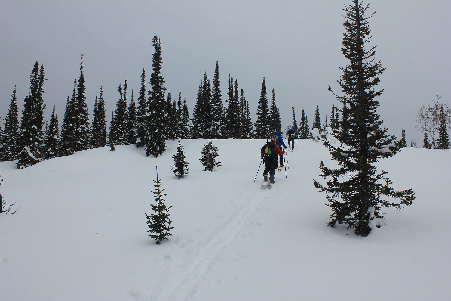 Двух-трёхдневные туры с ночёвкой в горных приютах