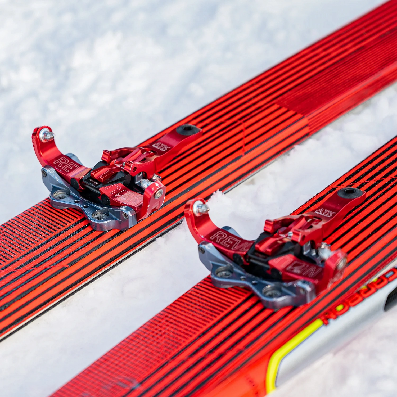 Revolution World Cup